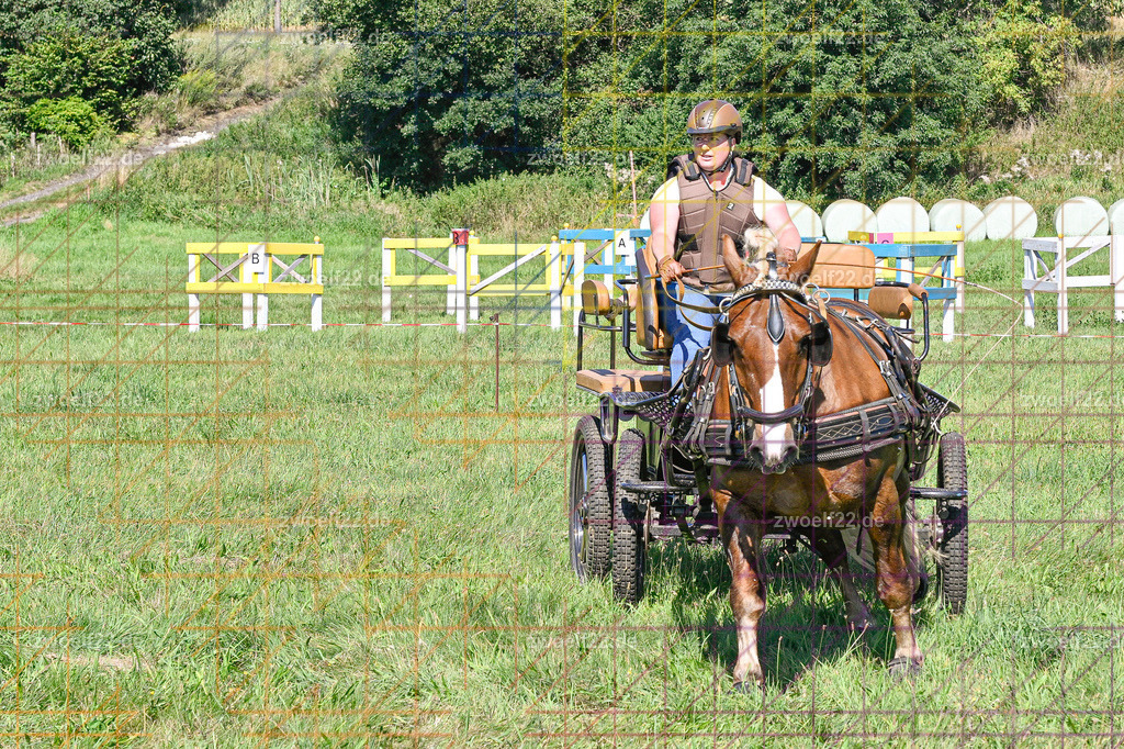 30 Jahre RFV Pulsnitz e.V., Pulsnitz am 09.08.2026 | 30Jahre Reit- und Fahrverein Pulsnitz e.V., Pulsnitz am 08.08.2026Zur 28. breitensportlichen Veranstaltung des RFV Pulsnitz e.V. fanden verschiedene Wettbewerbe in nahezu allen Disziplinen des Pferdesport statt.- Geländefahr-Wettbewerb - Realisiert mit Pictrs.com
