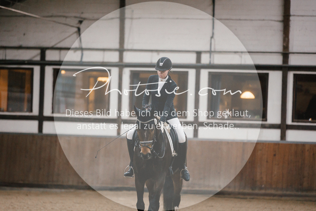 3I6A5806 | Stimmungsvolle Portraits und Reitsportfotografie im Ruhrgebiet und im Münsterland.

Pferdefotografie, Hundefotografie, Tierfotografie, Reportagen, Portraits von Tier und Mensch, Turnierfotografie in Bochum, Recklinghausen, Marl, Haltern am See, Dülmen.. - Realisiert mit Pictrs.com
