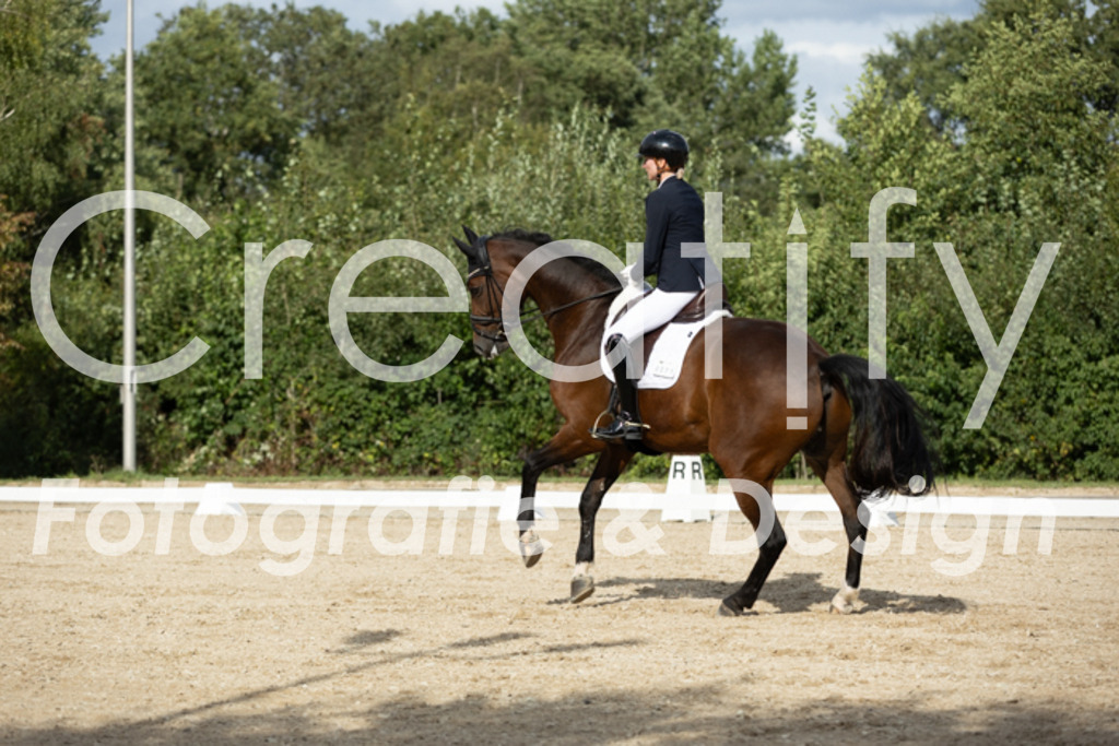 IMG_7051 | Creatify Fotografie