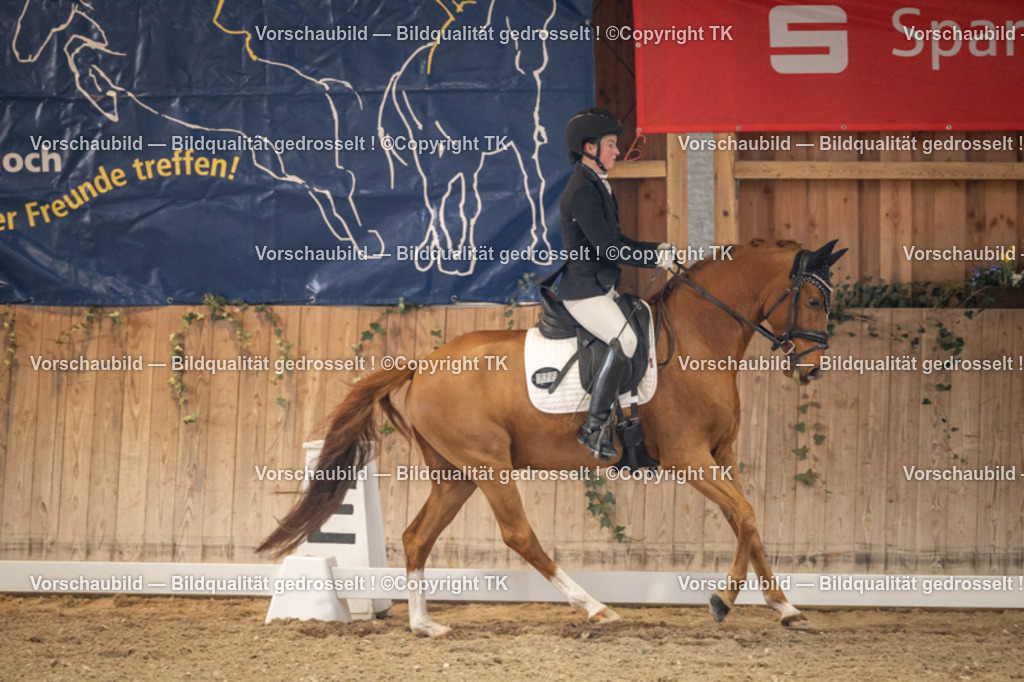 _D5A8684 | Emotionale Pferde- & People-Fotografie rund um Heidelberg, Leimen & Umgebung. Natürliche Fotos von Pferd, Mensch & Familie. Jetzt Termin sichern!