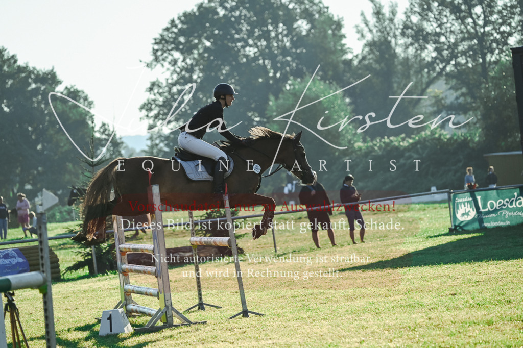 DSC_4001 | Pferde- und Turnierfotografie in Westsachsen. Pferdeportraits, Auftragszeichnungen und intuitive Kunst.