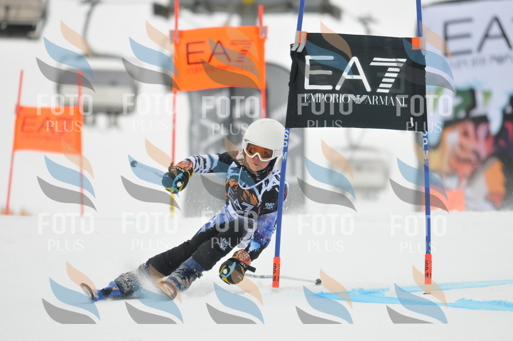 DSC_7347 | holidayphoto