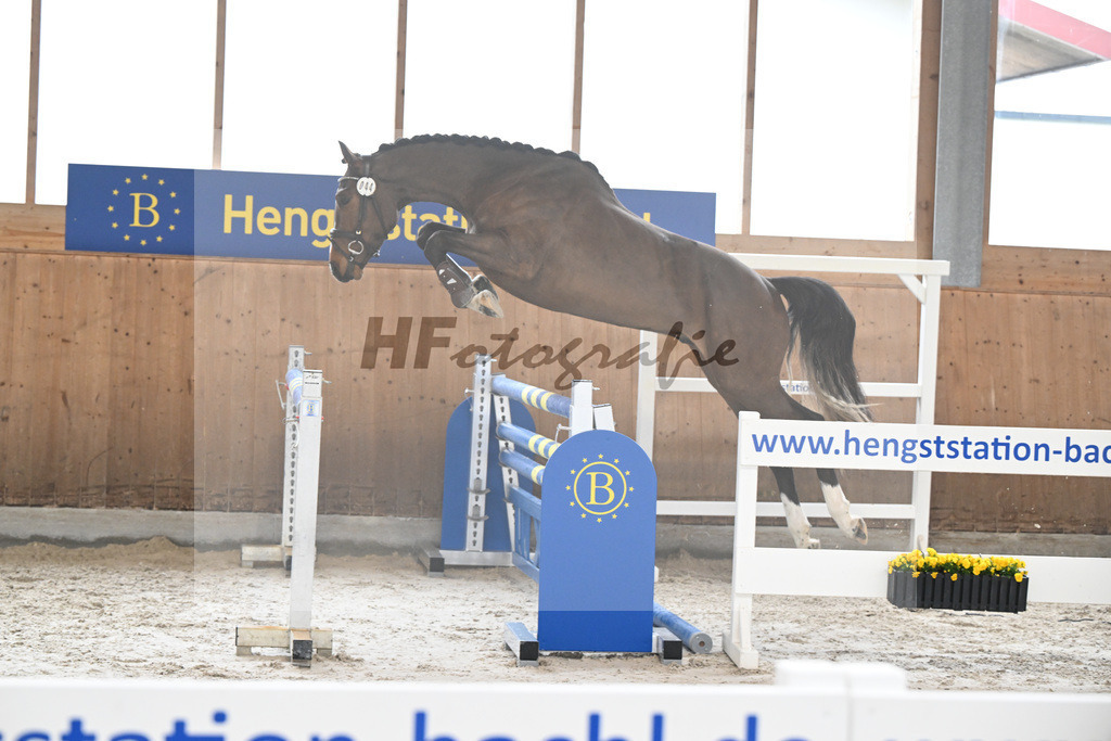 Kat-Nr. 44 Uganos Quabri Sitte v. Ugano Sitte_Keitel u Eder_14260136 | hf-fotografie - Realisiert mit Pictrs.com