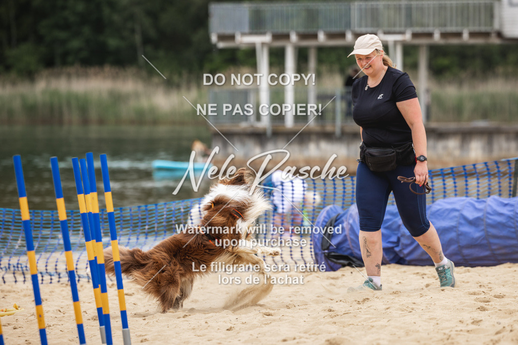 nelerasche_BuHu2026_So1330-1430_69 | nelerasche