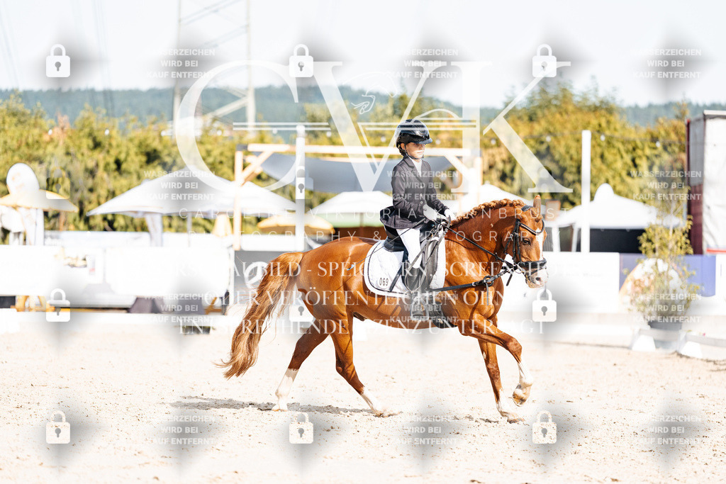 CK905273 | Turnierfotografie Pferdefotografie Trier Rheinland-Pfalz Pferdesport Reitsport Tierfotografie Sportfotografie Pferdevideo Pferdevideografie Equestrianvideography equestrianphotography  - Realisiert mit Pictrs.com