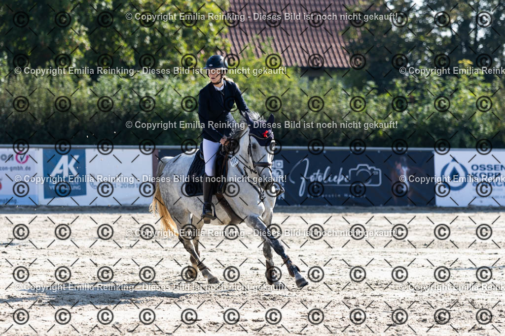 CL5A6083 | Emilia Reinking Fotografie - Realisiert mit Pictrs.com