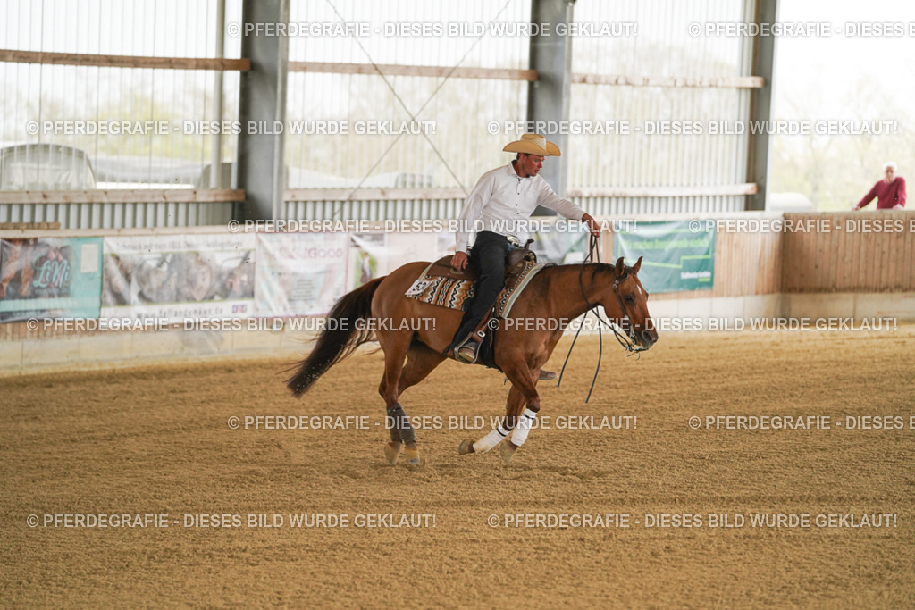 DSC06811 | Pferdegrafie