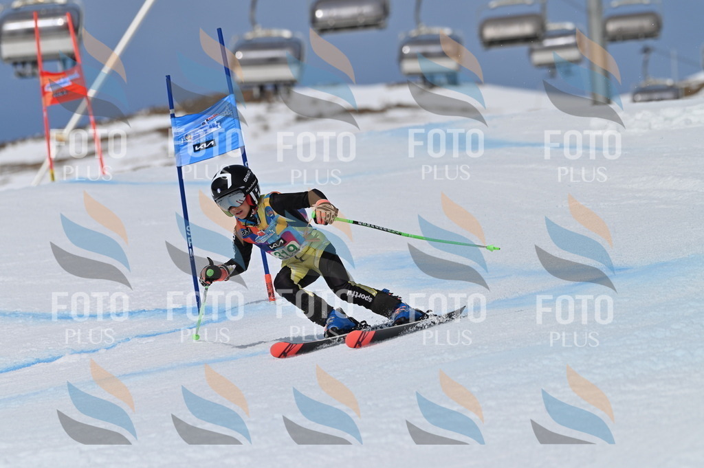 BGV_6315 | holidayphoto