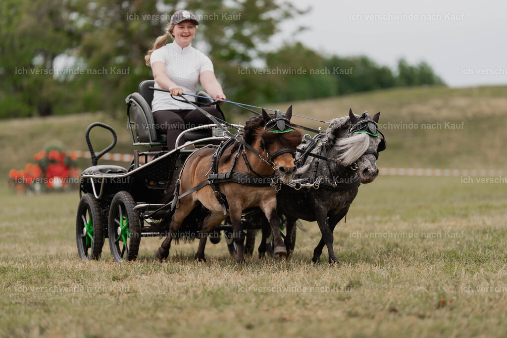 Showprogramm-470 | working equitationturnier fotograf videograf stoibphotography marixx film working equitation deutschland reitsport turnierfotografie eventfotografie equestrian events