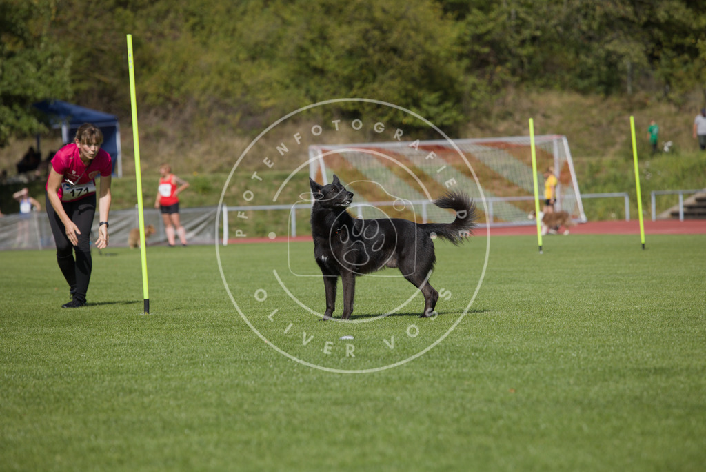 0L8A3296 | Hundefotografie, Tierfotograf, Pfotenfotografie, Fotoshooting Hund, Hunde Portrait, Hundesport, Hundeportraits, Heideshooting, Hunde, Sportfotograf, Hundefotograf, Turnierhundsport, THS,  - Realisiert mit Pictrs.com