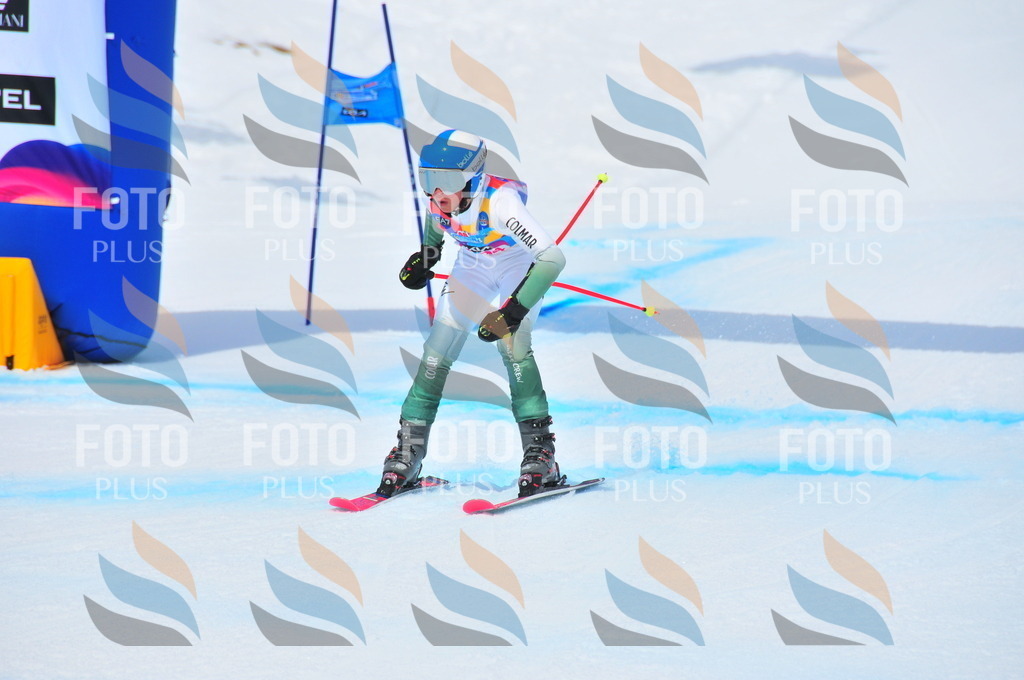 DSC_6486 | holidayphoto