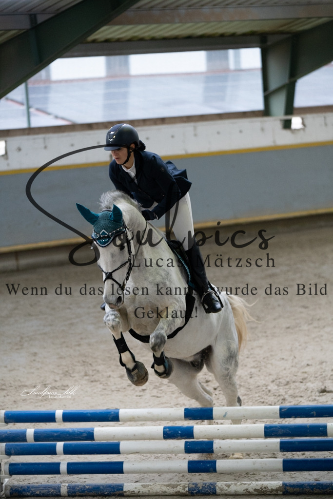 A7V00841 | Pferdefotograf