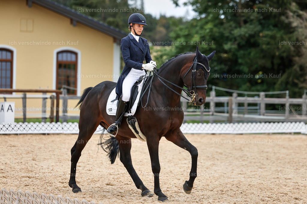 11-123-Dressur S___-StoibPH-1387 | working equitationturnier fotograf videograf stoibphotography marixx film working equitation deutschland reitsport turnierfotografie eventfotografie equestrian events