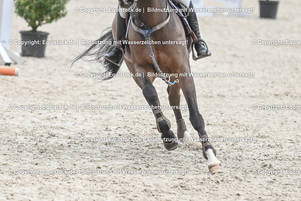 20230514_CCI4_Springen_0116 | equistock
