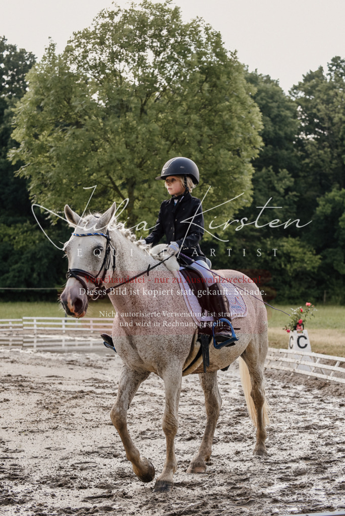 DSC_8412 | Pferde- und Turnierfotografie in Westsachsen. Pferdeportraits, Auftragszeichnungen und intuitive Kunst.