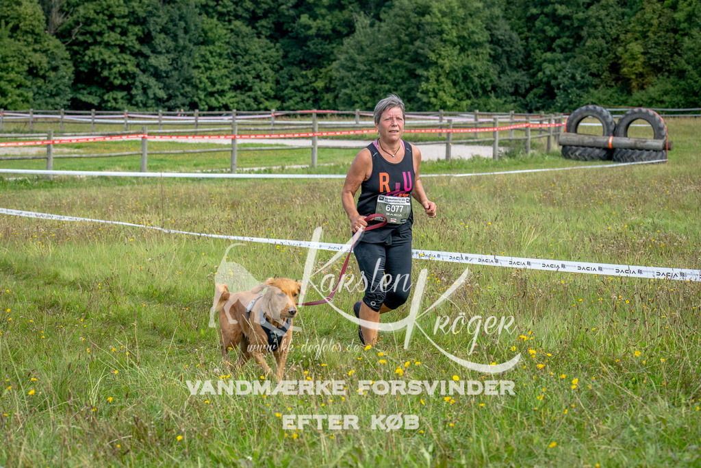 1227_ZZ94494 | kk-dogfotos