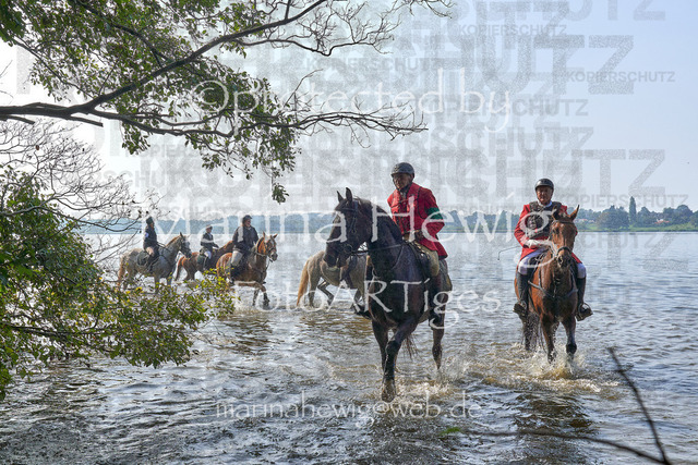 09-23 JAgd PerdölDSC02278_Marina Hewig | Fotografie, FotoArt, PferdesportArt, Pferdesportfotografie, Landschaftsfotografie, Reisefotografie, Reise, Pferde - Realisiert mit Pictrs.com