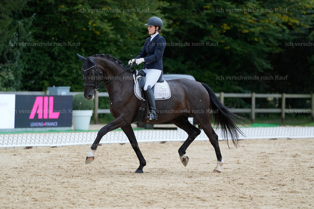 04_2-202-Dressur M__ -StoibPH-2934 | working equitationturnier fotograf videograf stoibphotography marixx film working equitation deutschland reitsport turnierfotografie eventfotografie equestrian events