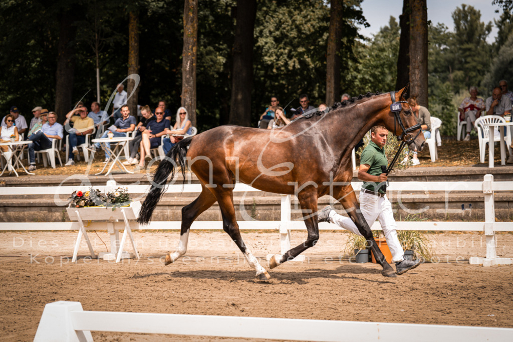 2. Fr00131 | Leoni Ertmer Photography - Realisiert mit Pictrs.com