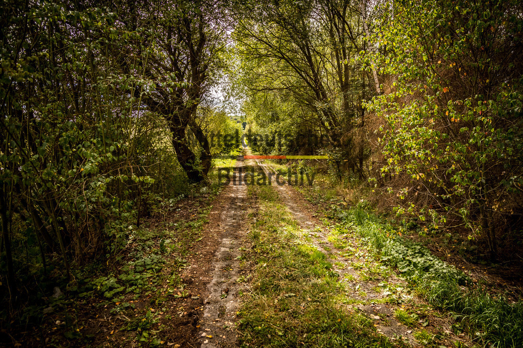 innerdeutsche Grenze Grünes Band Grasleben-7780 | Die innerdeutsche deutsch-deutsche Grenze, das Grüne Band - Realisiert mit Pictrs.com