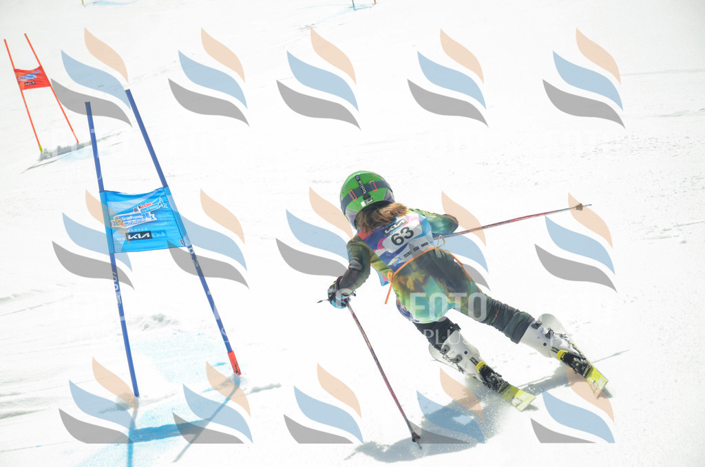 _ELE5352 | holidayphoto