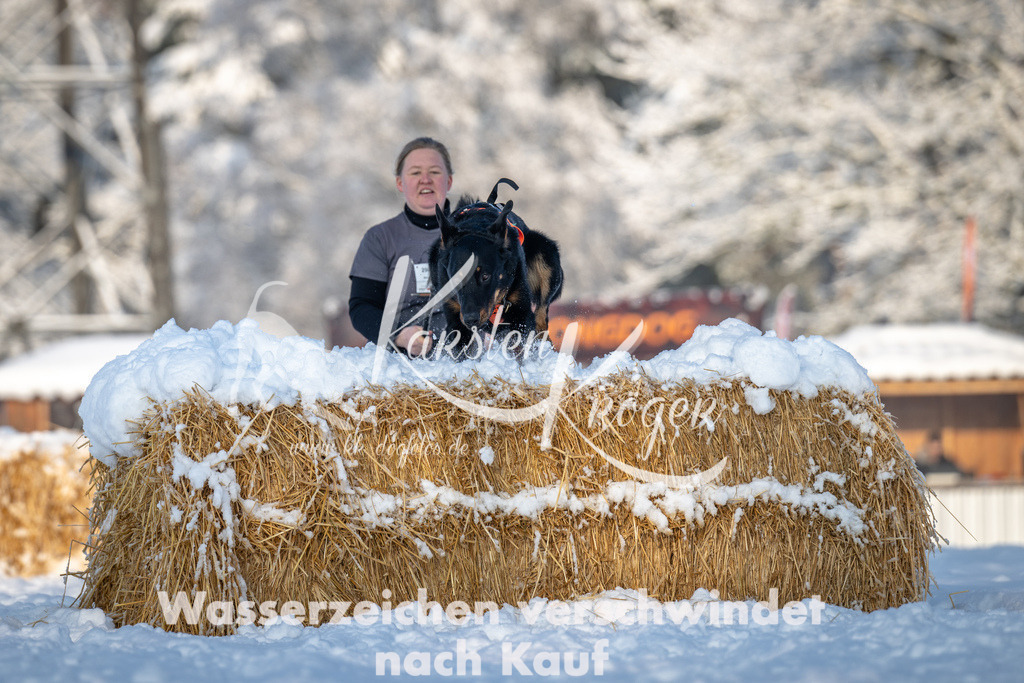 0811_ZZ91139 | kk-dogfotos