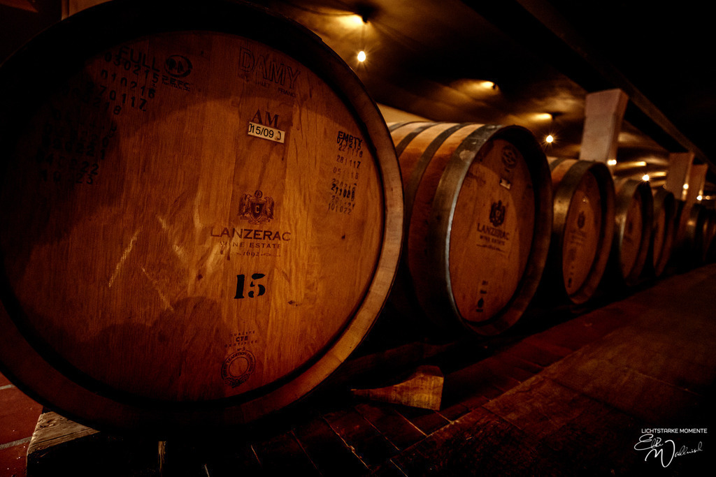 20230929-150850 SOUTHAFRIKA_-1 | Herzlich willkommen auf meiner Seite! Ich bin Elke Wallnisch, Deine Fotografin für lichtstarke Momente. Der Name steht für alles, was mich mit der Fotografie verbindet: Das Licht und seine machtvolle Wirkung auf eine Situation oder unsere Stimmung - Realisiert mit Pictrs.com