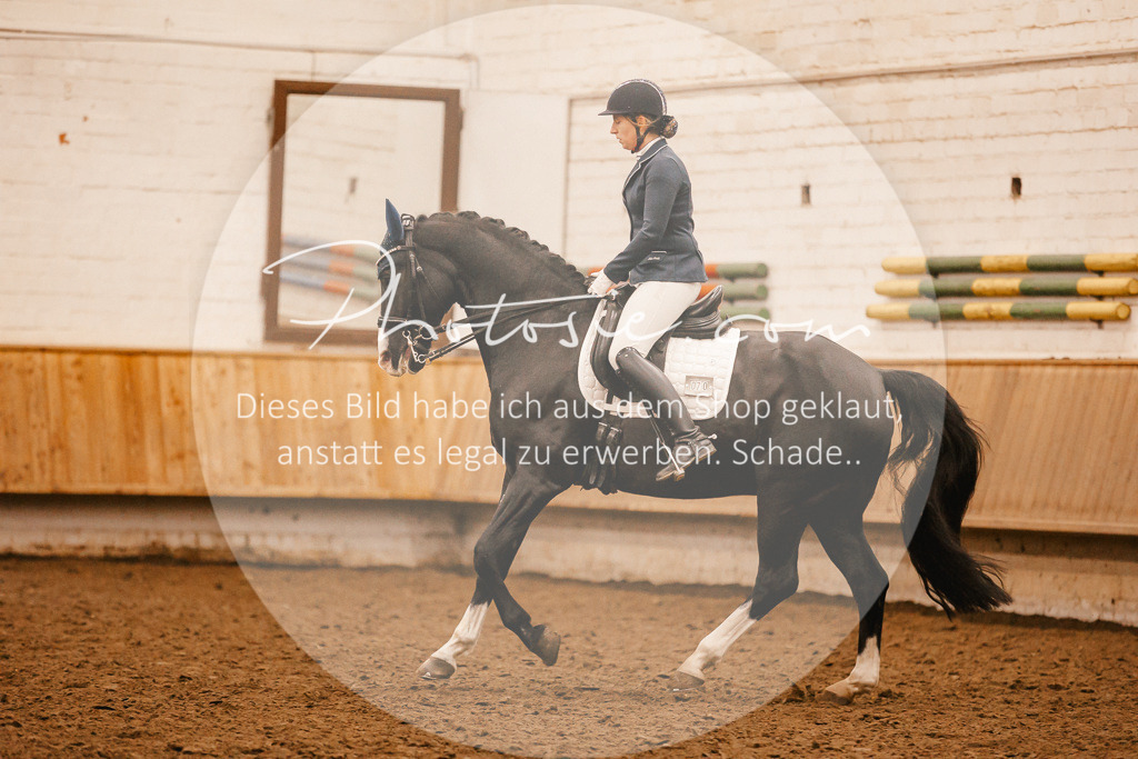 3I6A2705 | Stimmungsvolle Portraits und Reitsportfotografie im Ruhrgebiet und im Münsterland.

Pferdefotografie, Hundefotografie, Tierfotografie, Reportagen, Portraits von Tier und Mensch, Turnierfotografie in Bochum, Recklinghausen, Marl, Haltern am See, Dülmen.. - Realisiert mit Pictrs.com