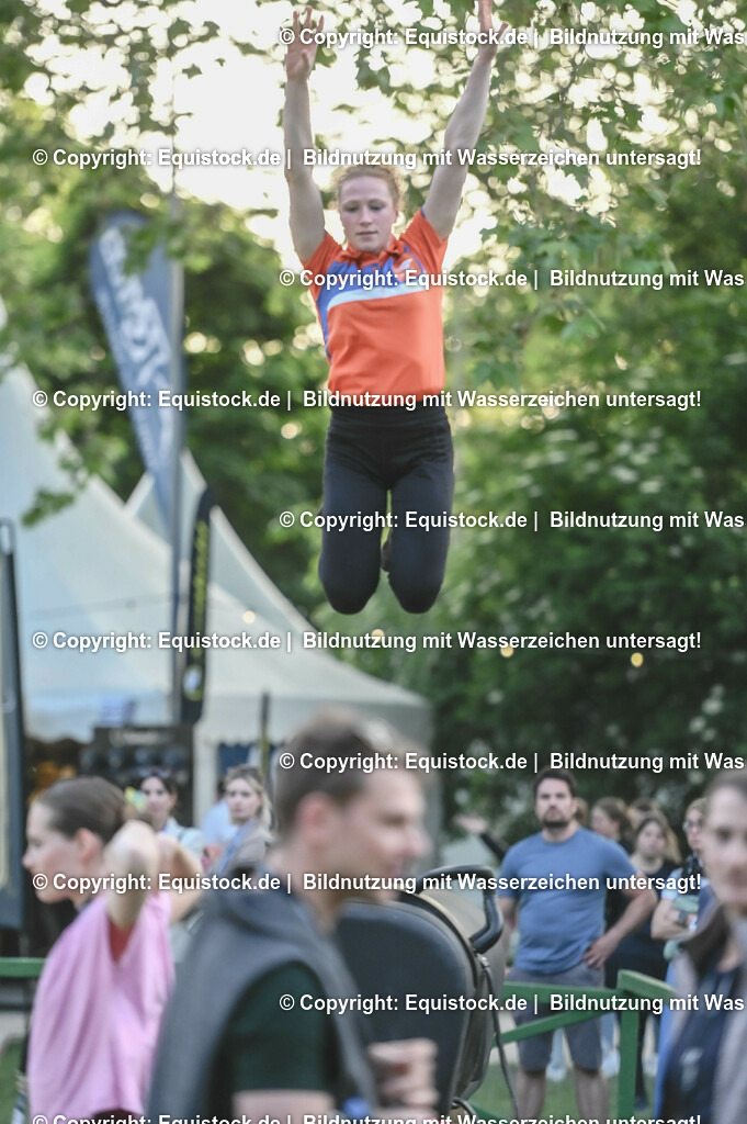 D78_3351 | equistock