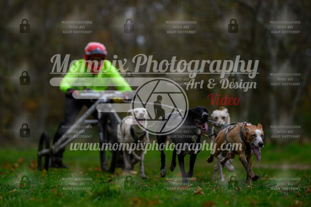MompixPhotography_Bischwiller24_SA_Kart-3 | PayLife