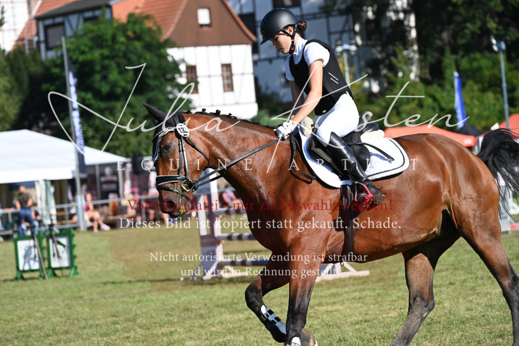 DSC_5287 | Pferde- und Turnierfotografie in Westsachsen. Pferdeportraits, Auftragszeichnungen und intuitive Kunst.
