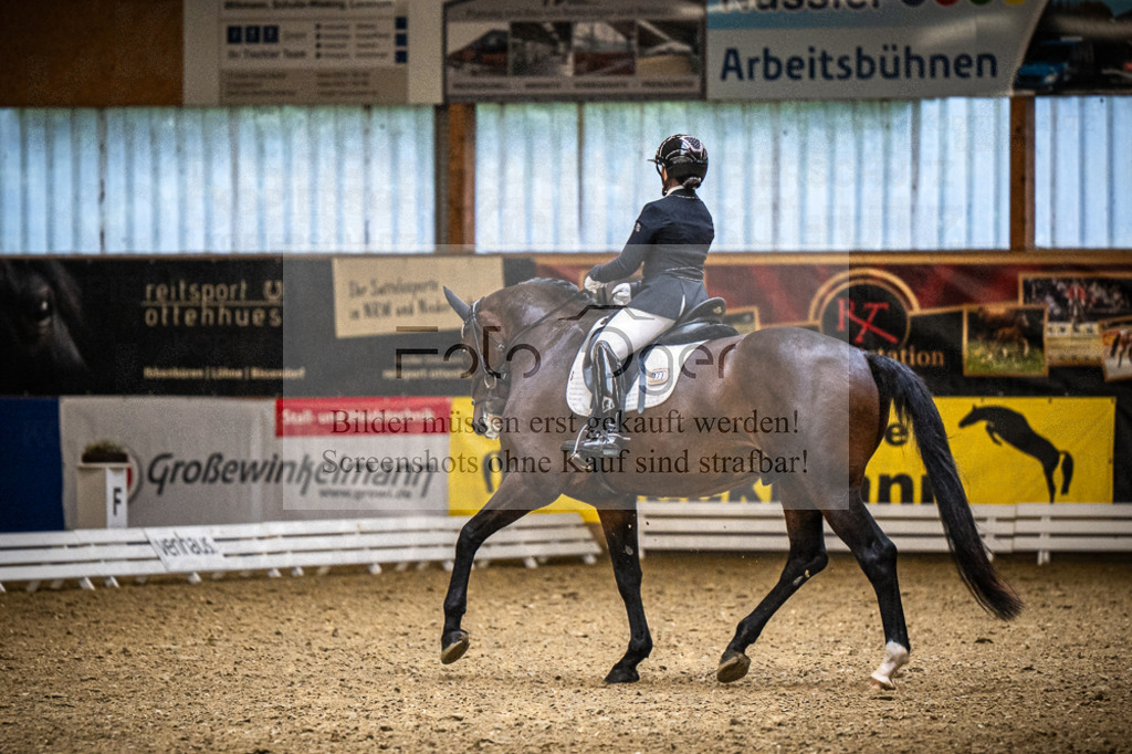 DOS_0003 | Entdecke hochwertige Reitturnierfotos von Foto Oger. Professionell, emotional und authentisch – jetzt Lieblingsmomente im Shop bestellen.Deutschlandweite Turnierfotografie. - Realisiert mit Pictrs.com