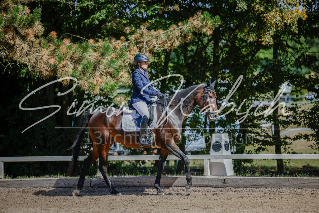 20250906-_3LI4327 | Tierfotografie Pferde, Hunde, Katzen, Haustiere.
Turnierfotografie Reitturniere, Reiten, Springreiten, Dressur in Hanau, dem Main-Kinzig-Kreis und dem Rhein-Main- Gebiet um Frankfurt