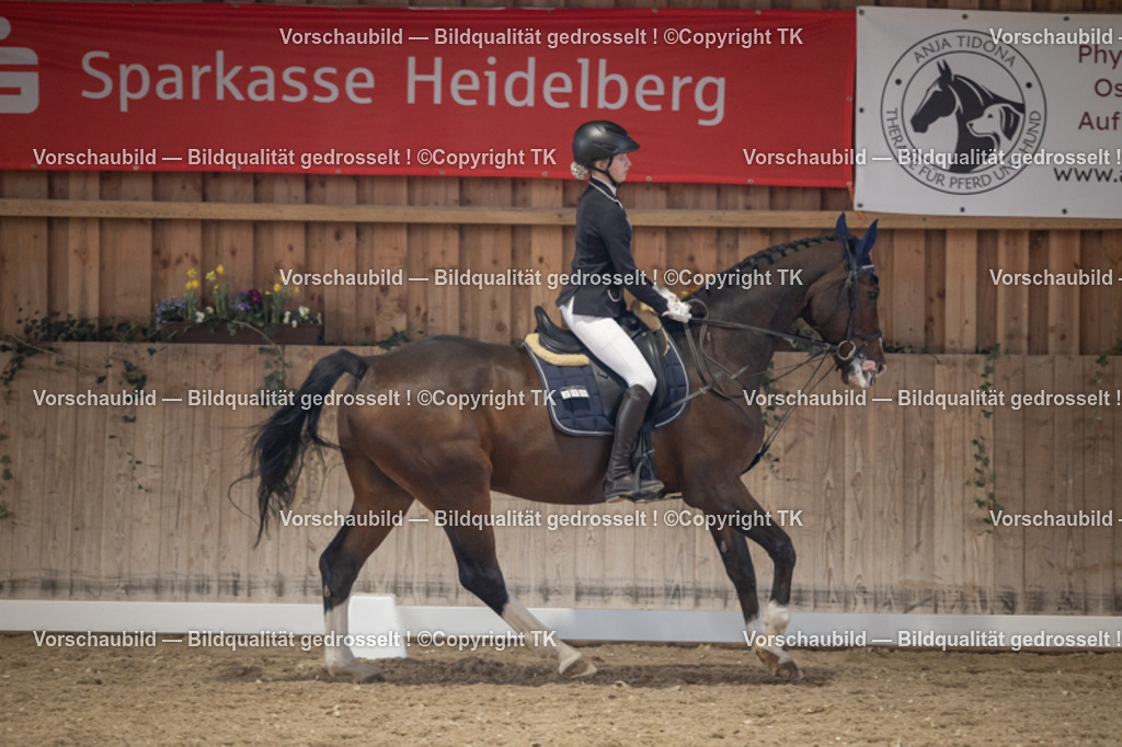 _D5A5639 | Emotionale Pferde- & People-Fotografie rund um Heidelberg, Leimen & Umgebung. Natürliche Fotos von Pferd, Mensch & Familie. Jetzt Termin sichern!