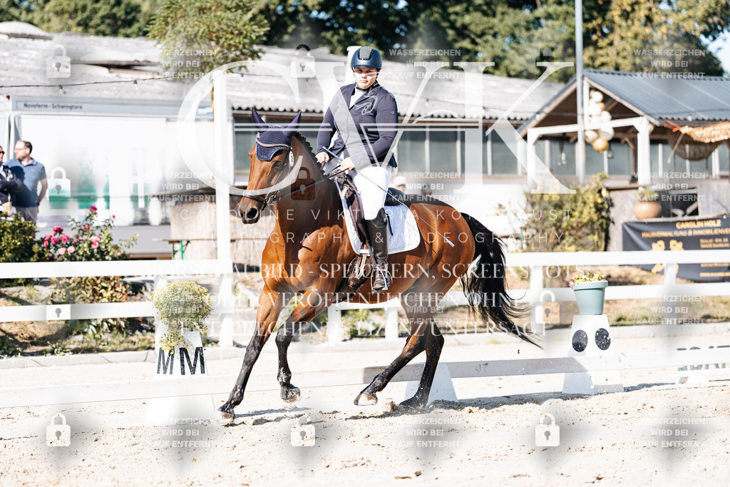 CK907998 | Turnierfotografie Pferdefotografie Trier Rheinland-Pfalz Pferdesport Reitsport Tierfotografie Sportfotografie Pferdevideo Pferdevideografie Equestrianvideography equestrianphotography  - Realisiert mit Pictrs.com