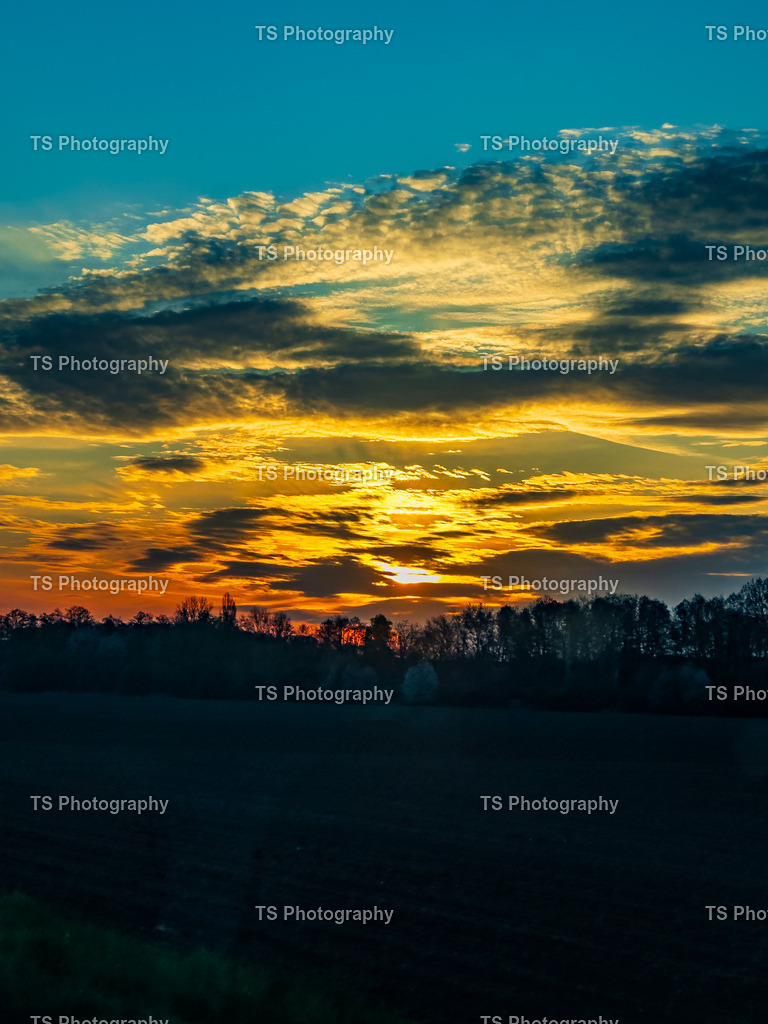 IMG_6283(1) | TS Photography - Realisiert mit Pictrs.com