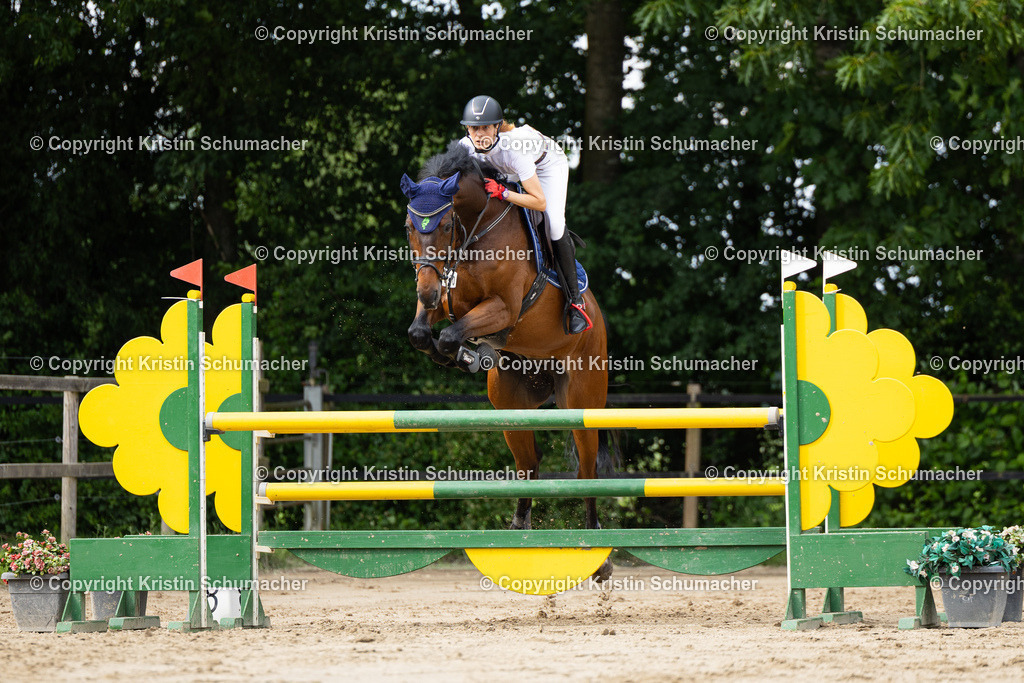 Prf. 26-46 | Kristin Schumacher Photography