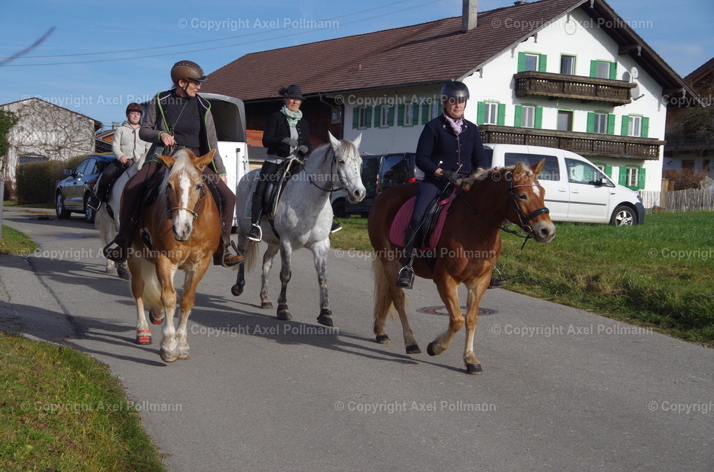 IMGP1636 | fotografiert von Axel PollmannLeonhardi Wallfahrt Benediktbeuern und Murnau, Fronleichnam, Fasching, Landschaft im Loisachtal und Benediktbeuern  - Realisiert mit Pictrs.com