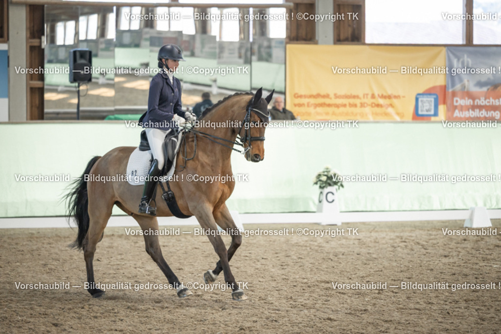 _D5A3190 | Emotionale Pferde- & People-Fotografie rund um Heidelberg, Leimen & Umgebung. Natürliche Fotos von Pferd, Mensch & Familie. Jetzt Termin sichern!