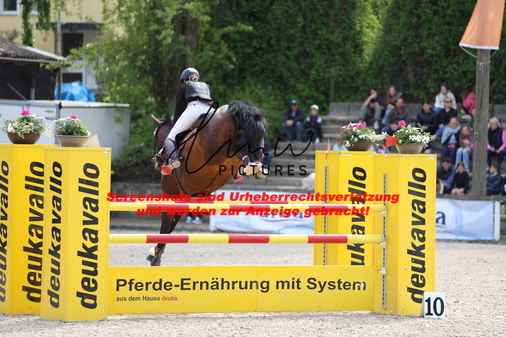 A40A4873 | lmwpictures - Realisiert mit Pictrs.com