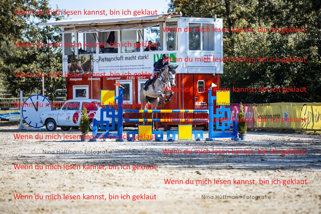 BK1A5873 | Turnierbilder Turnierfotos Nina Hüffmann Turnierfotografie Pferdefotografie Tierzeichnung Haustierzeichnung Pferdezeichnung Hundezeichnung Videograf  - Realisiert mit Pictrs.com