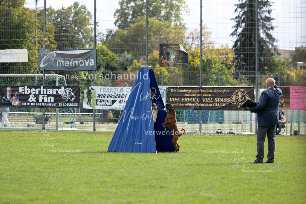 _16A7017 | Einzigartige Fotos von Hunden & Menschen –Actionfotos, Portraits, Vereinsaufnahmen & Paarshootings – authentisch, lebendig & mit Herz.