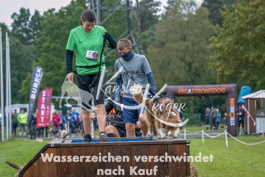 1212--17 | kk-dogfotos