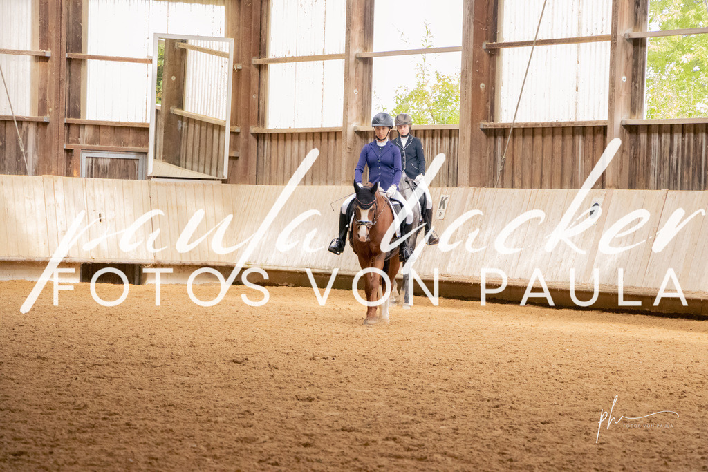 IMG_4904 | Erleben Sie dynamische Sport- und emotionale Tierfotografie in Süddeutschland mit Fotos von Paula. Spezialisiert auf Pferde- und Hundefotografie sowie Sportevents. Kontaktieren Sie mich für einzigartige und ausdrucksstarke Bilder Ihrer besonderen Momente. - Realisiert mit Pictrs.com