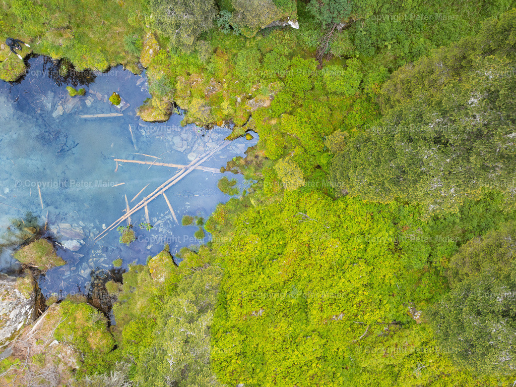Divers_Erlebnisraum_Wald_23_Peter_Maier-46 | default