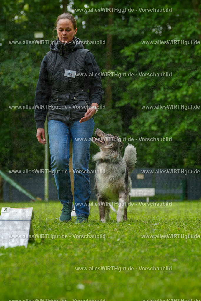 @allesWIRTHgut_Tierfotografie - www.allesWIRTHgut.de - 7R500292 | Professionelle Tierfotografie in Mönchengladbach von Daniel Wirth (allesWIRTHgut). Liebevolle & natürliche Bilder von Hunden & Katzen für unvergessliche Erinnerungen.