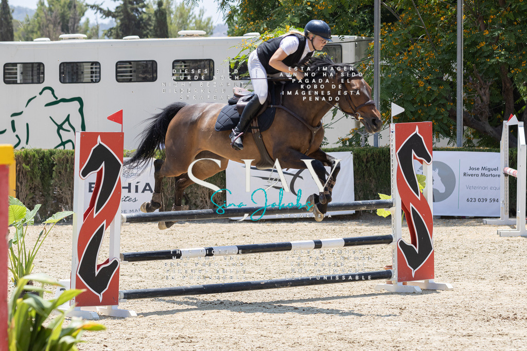 IMG_1760 | s-jay-photography - Realisiert mit Pictrs.com