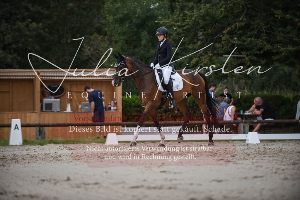 DSC_8553 | Pferde- und Turnierfotografie in Westsachsen. Pferdeportraits, Auftragszeichnungen und intuitive Kunst.