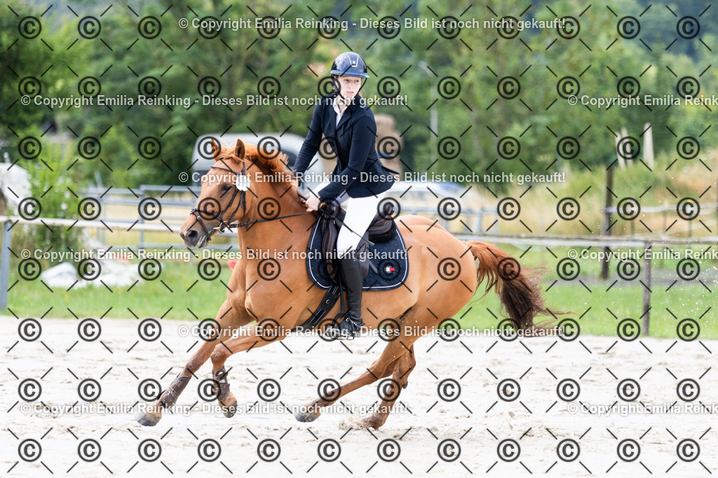 CL5A0332 | Emilia Reinking Fotografie - Realisiert mit Pictrs.com