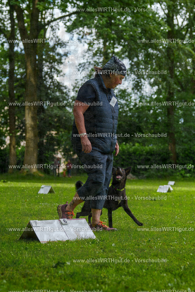 @allesWIRTHgut_Tierfotografie - www.allesWIRTHgut.de - 124404-7R509384 | Professionelle Tierfotografie in Mönchengladbach von Daniel Wirth (allesWIRTHgut). Liebevolle & natürliche Bilder von Hunden & Katzen für unvergessliche Erinnerungen.
